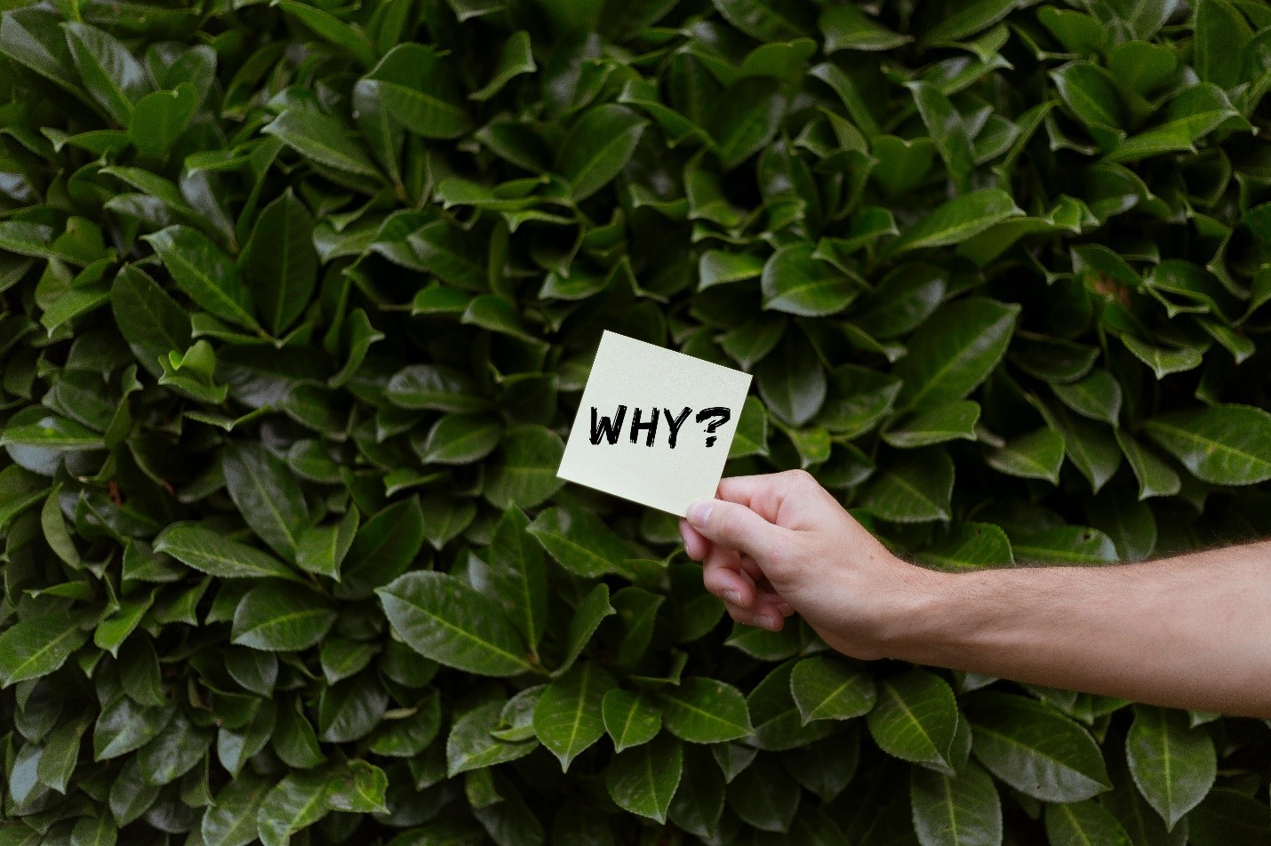 Why IDX vs MLS matters for real estate websites